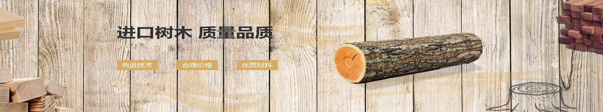 花季传媒黄色版本.jpg